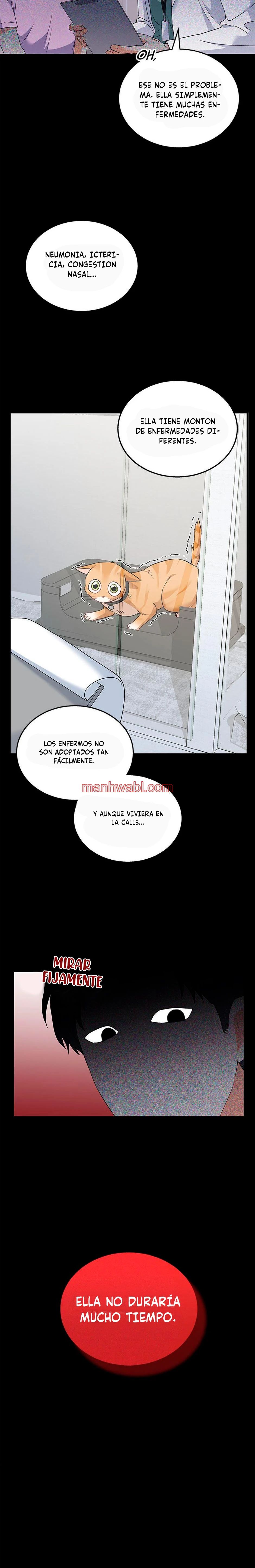 Veterinario Hola - Capítulo 7 manhwa