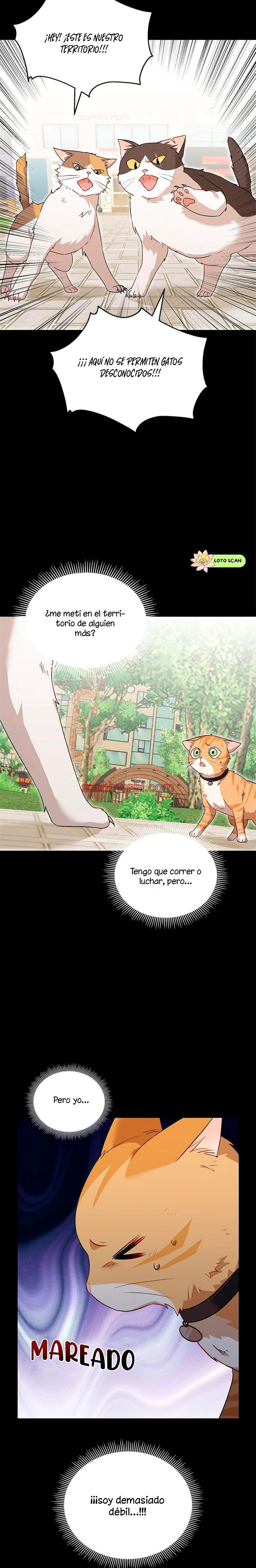 Veterinario Hola - Capítulo 7_2 manhwa