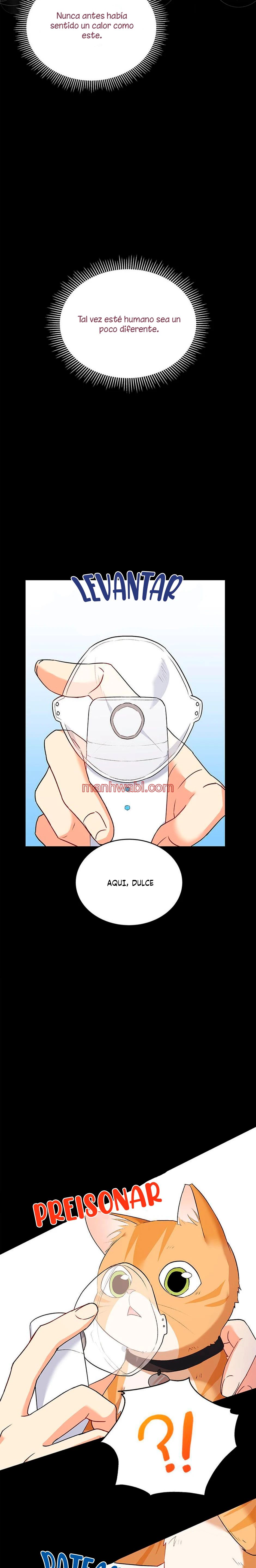 Veterinario Hola - Capítulo 7_2 manhwa