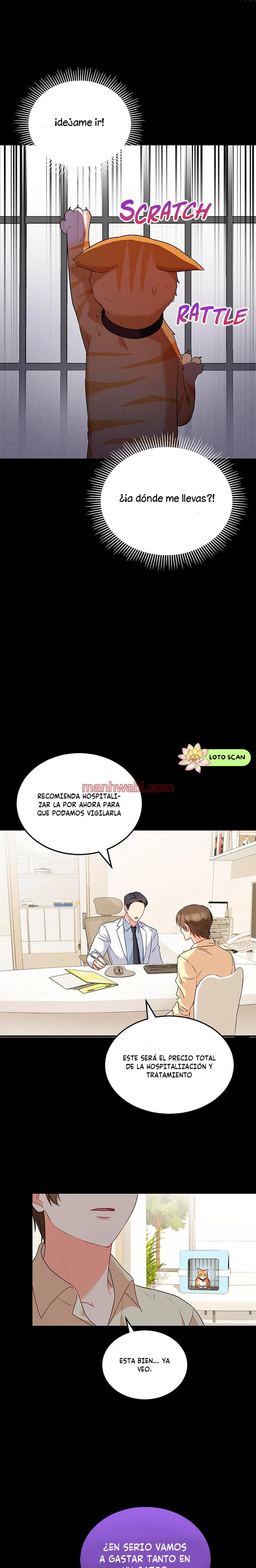 Veterinario Hola - Capítulo 7_2 manhwa