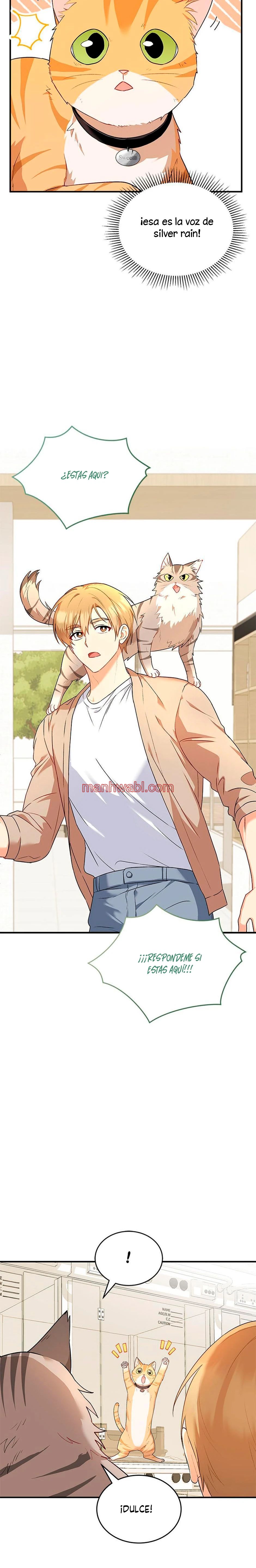 Veterinario Hola - Capítulo 7_3 manhwa