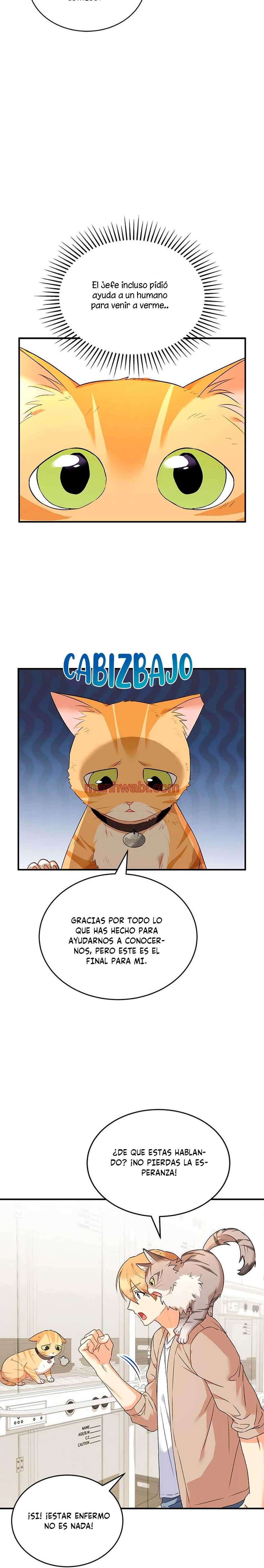 Veterinario Hola - Capítulo 7_3 manhwa