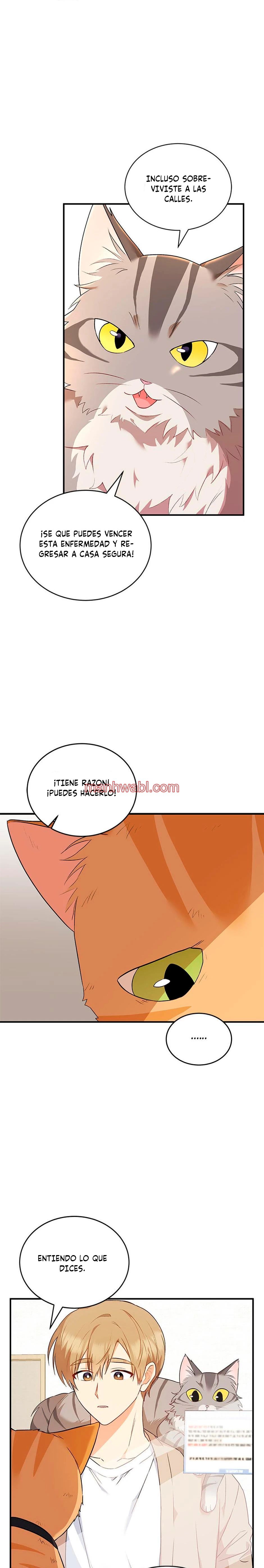 Veterinario Hola - Capítulo 7_3 manhwa