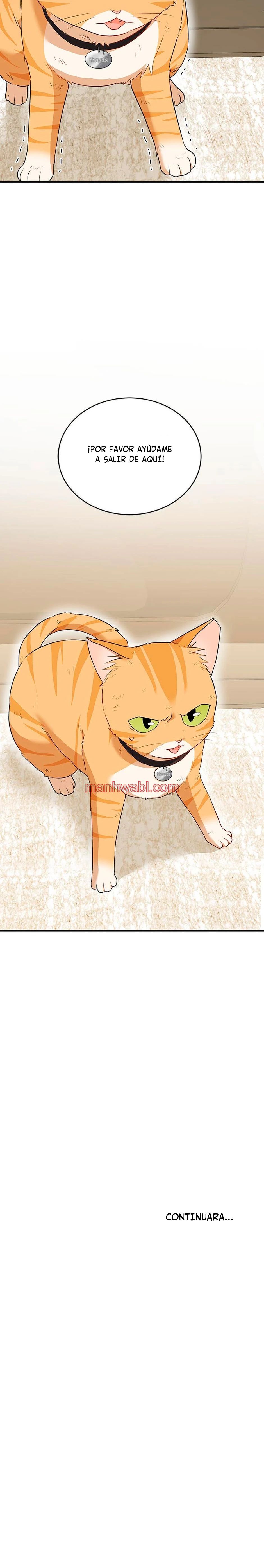 Veterinario Hola - Capítulo 7_3 manhwa