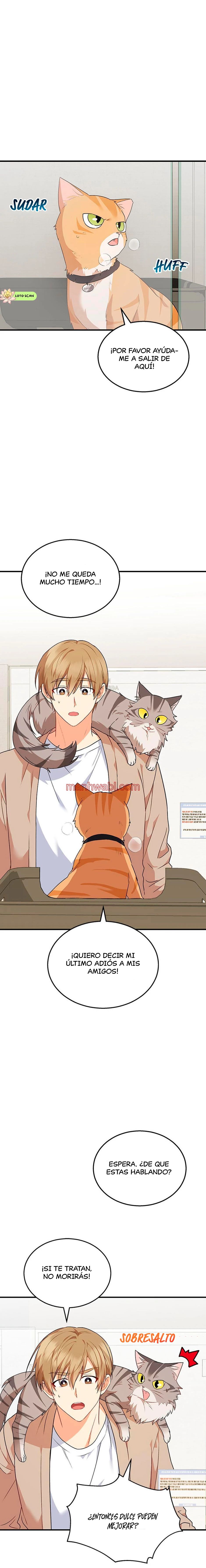 Veterinario Hola - Capítulo 8 manhwa