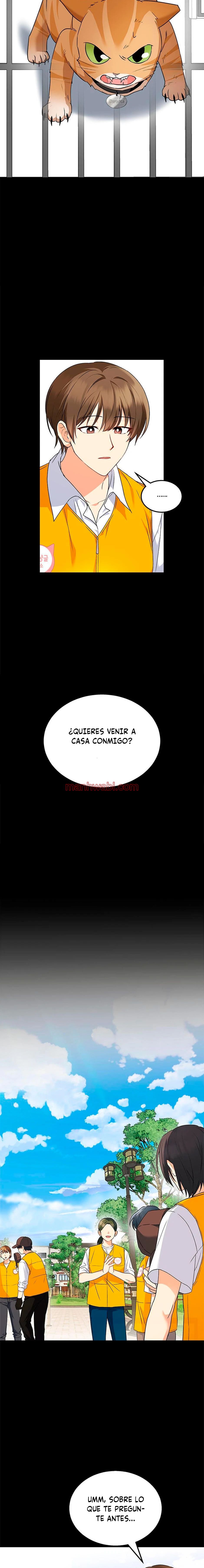 Veterinario Hola - Capítulo 8 manhwa