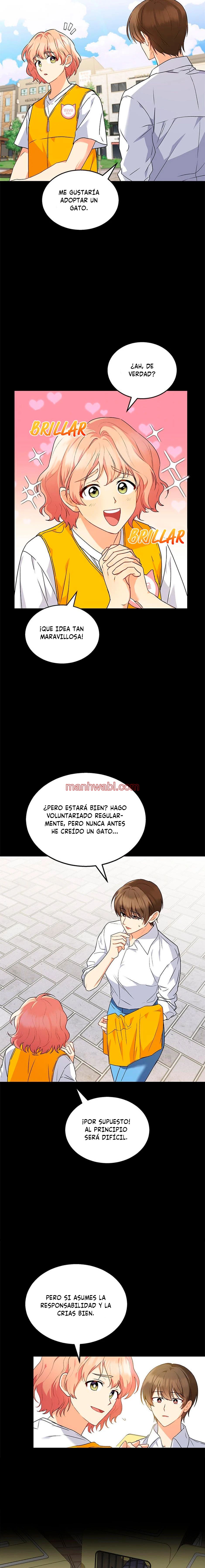 Veterinario Hola - Capítulo 8 manhwa