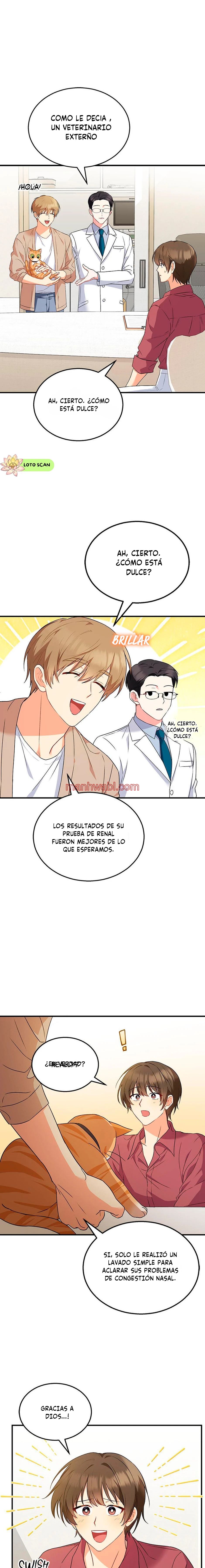 Veterinario Hola - Capítulo 8_2 manhwa