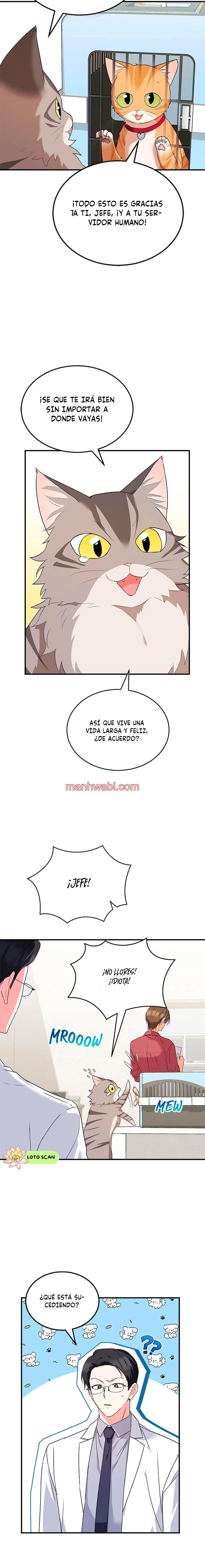 Veterinario Hola - Capítulo 8_2 manhwa