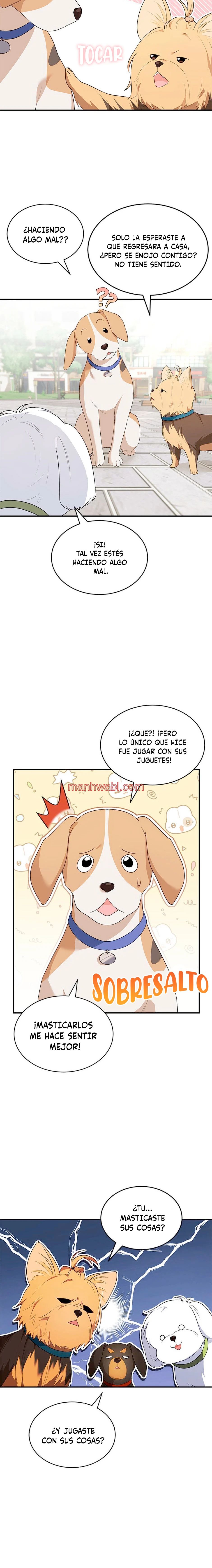 Veterinario Hola - Capítulo 9_2 manhwa